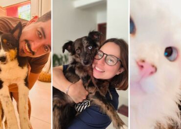 Passo a Passo: Escolhendo o Hotel Domiciliar Pet Ideal para Garantir a Tranquilidade do Seu Cachorro